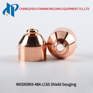 W03X0893-48A Shield Gouging Kp2844-12 Fit for LC65 Torch